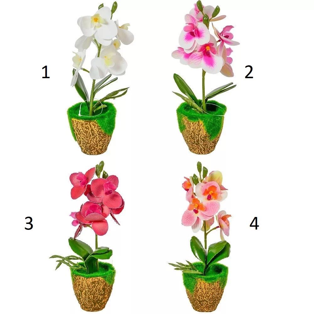 Cserepes orchidea gumi 27 cm - 4 színben