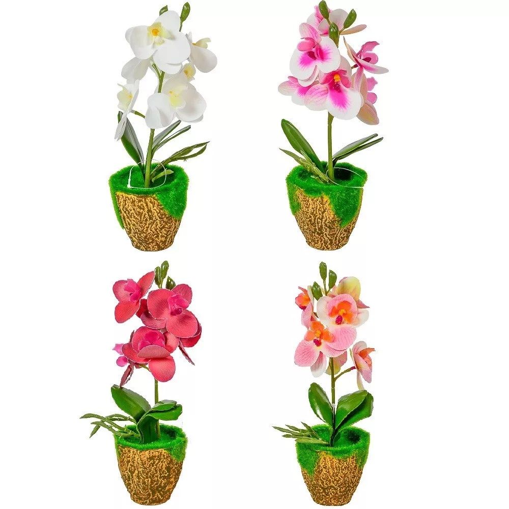 Cserepes orchidea gumi 27 cm - 4 színben