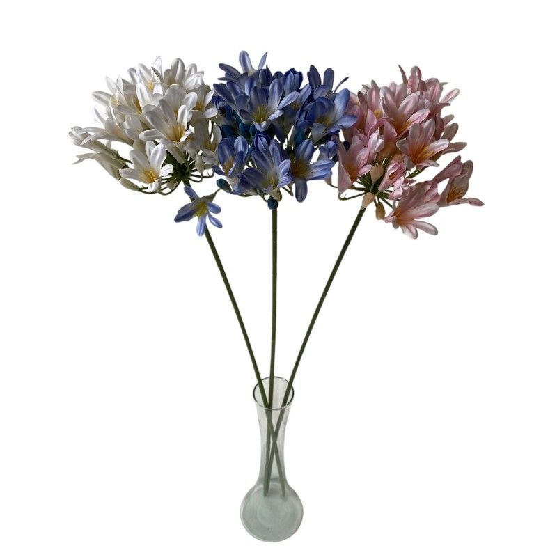 Agapanthus 75cm - 3 színben